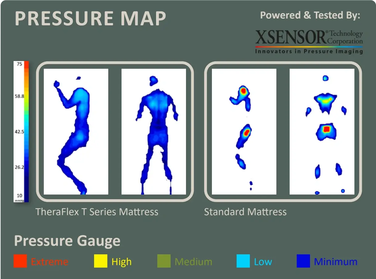 Shared T Series catalogue pressure-map comparison with side and back positions and colour scale